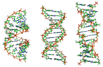 Przełom w genetyce. Wzrośnie liczba aborcji?