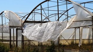 Odpady rolnicze. Systemowa luka i rosnące wyzwanie dla polskich gmin