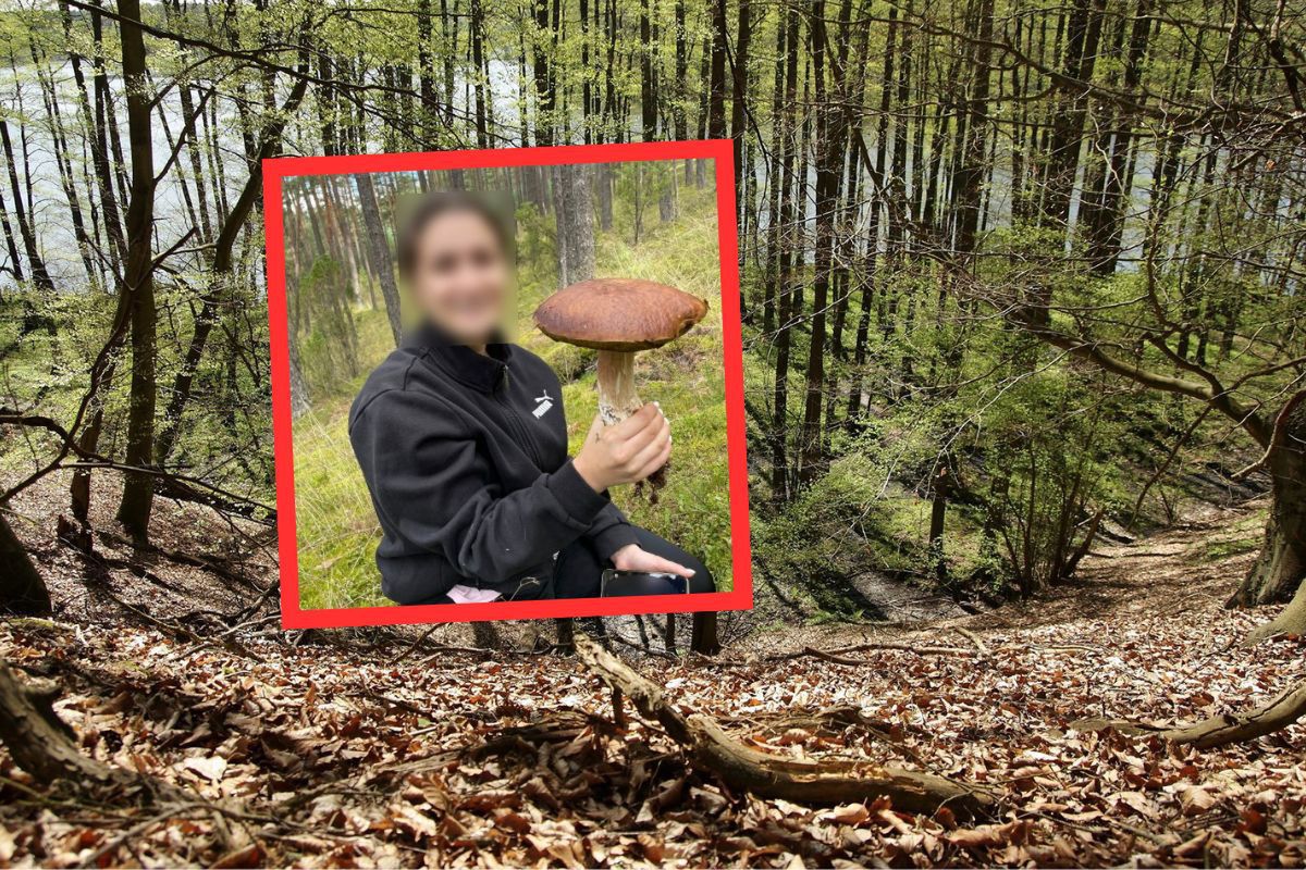 Gigant wśród traw. Leśna niespodzianka dla grzybiarki z Kartuz