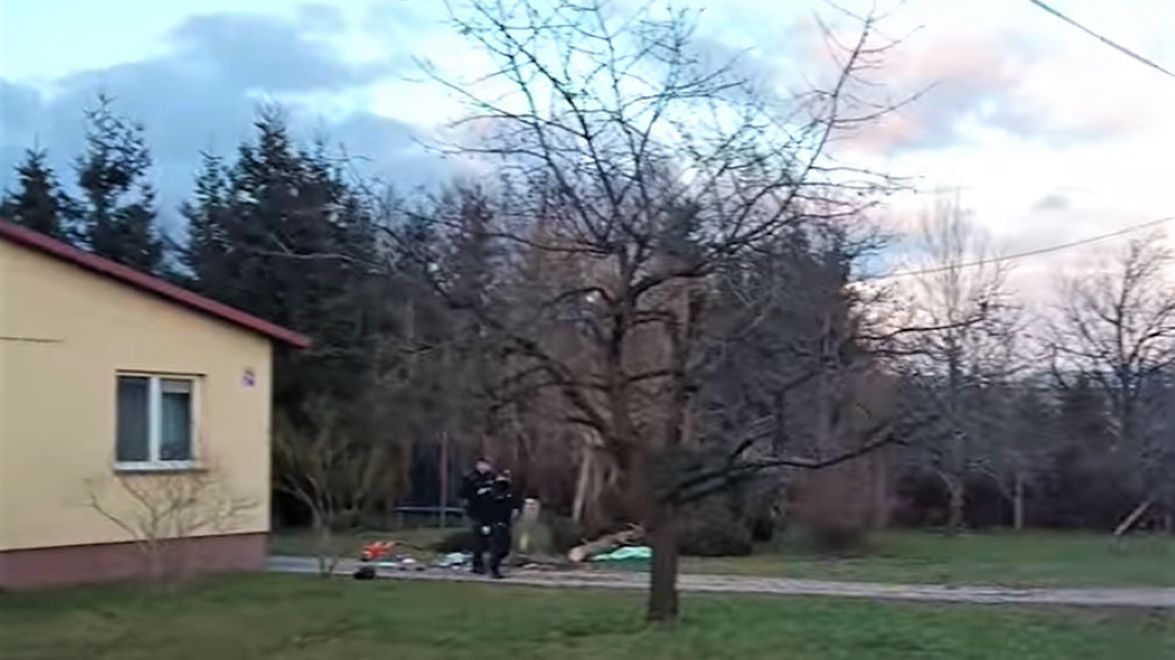 Drzewo przygniotło 5-latka 