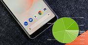Android 13 rośnie w oczach. Google ujawnił nowe statystyki