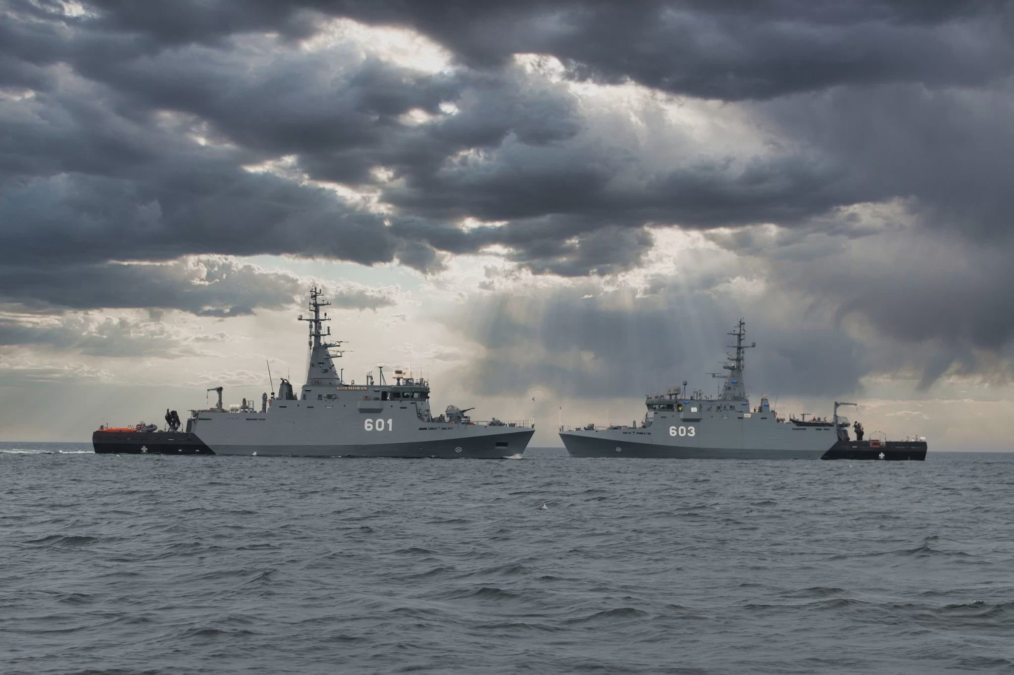 Polskie niszczyciele min typu Kormoran II 