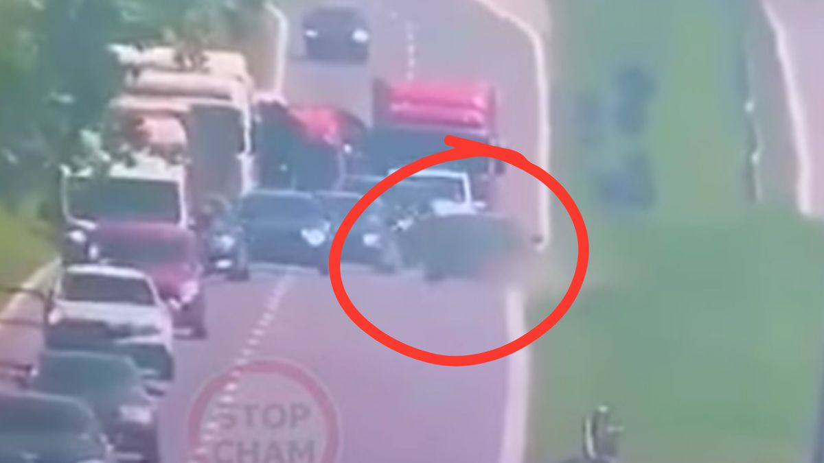 Cudem udało się uniknąć czołowego zderzenia