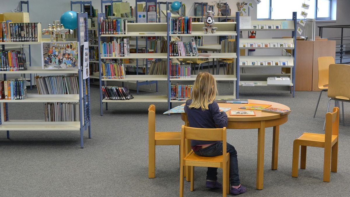 Biblioteka