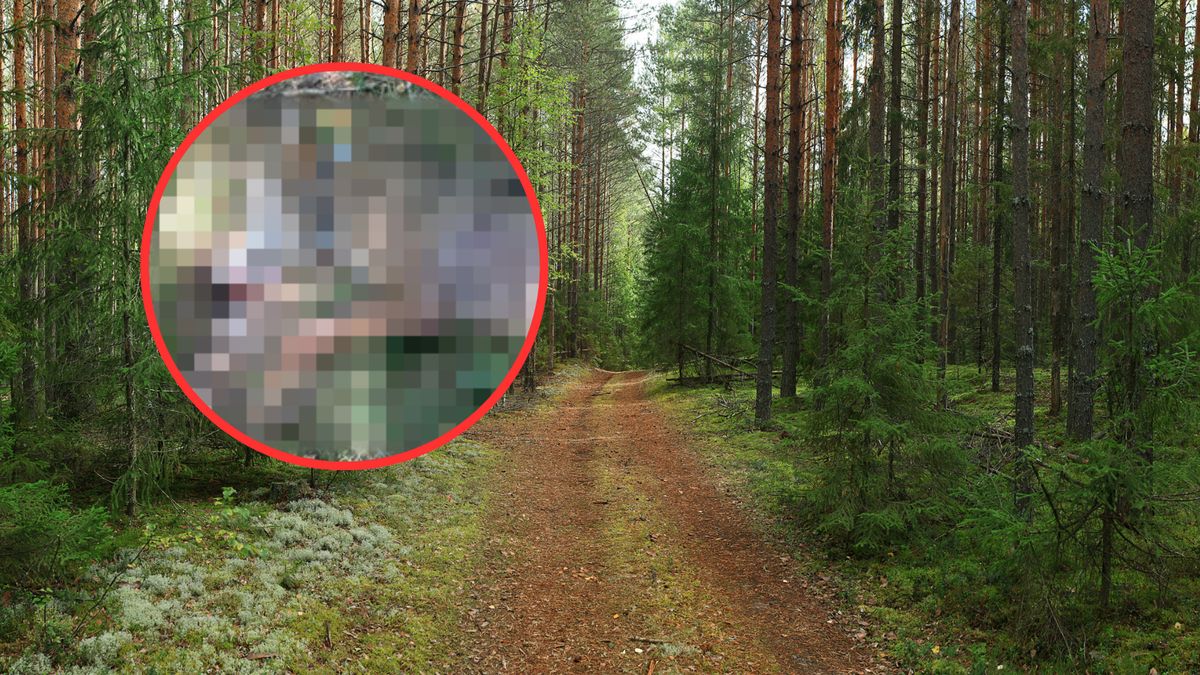 Lego został zastrzelony. Wyznaczono nagrodę