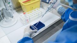 Immunoterapia w służbie serca. Naukowcy opracowali nową strategię walki z miażdżycą