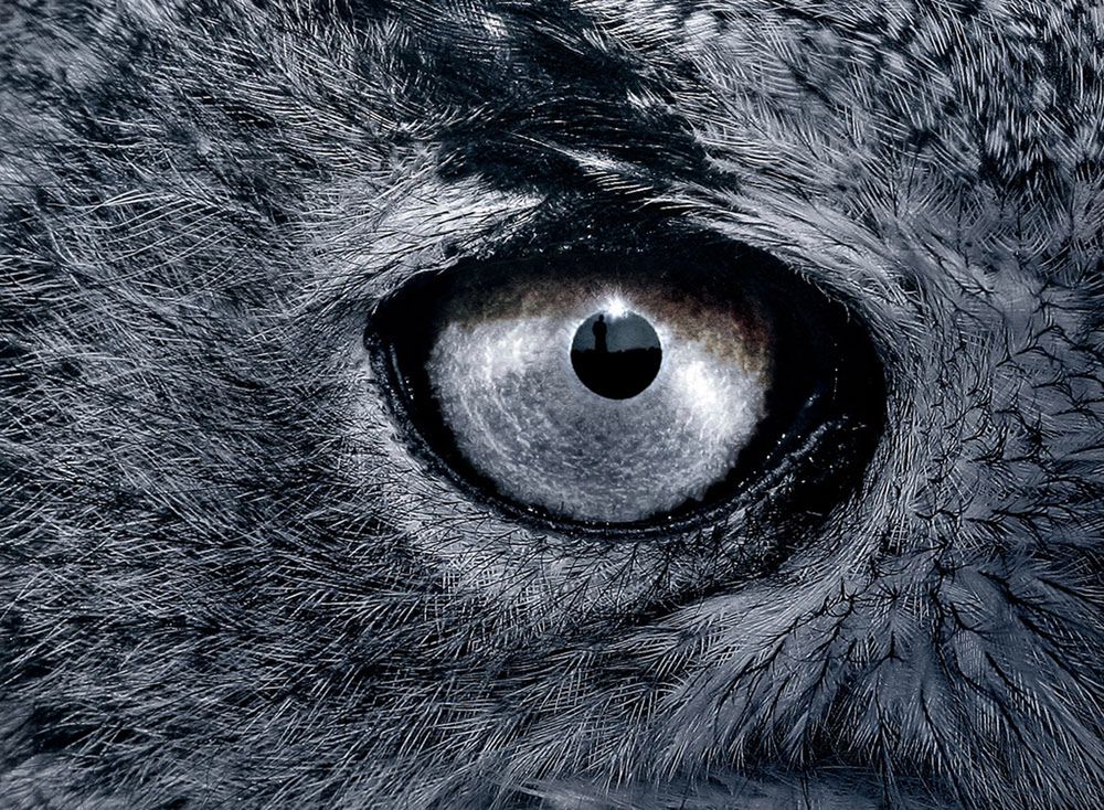 Polak najlepszym fotografem amatorem w Europie 8