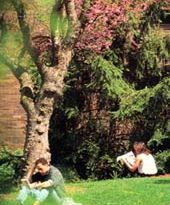 Atak klonów Dana Browna