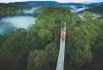 Spacer w chmurach - naciekawsze mosty w koronach drzew