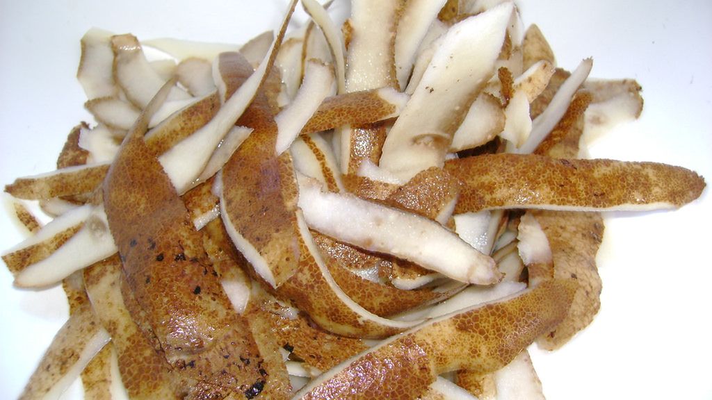 Surowa skórka z ziemniaka