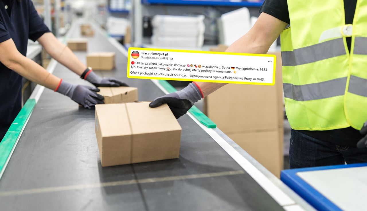 Oferta z Niemiec. Tylko podali warunki. Polacy się rzucili