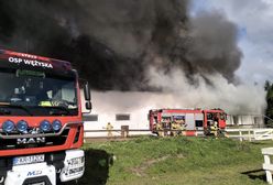 Płonie stadnina koni. Ogień błyskawicznie się rozprzestrzeniał