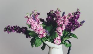 Bukiet kwiatów dłużej postoi. Wypróbuj 5 sposobów
