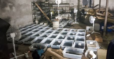Zlikwidowane laboratorium działające w stodole.