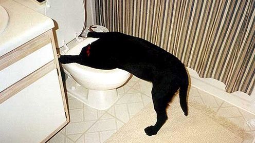 Jak uratować zalany telefon lub inny gadżet elektroniczny? 1