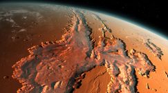Znaczne ilości wody pod powierzchnią Marsa. Sensacyjne odkrycie misji badawczej ESA