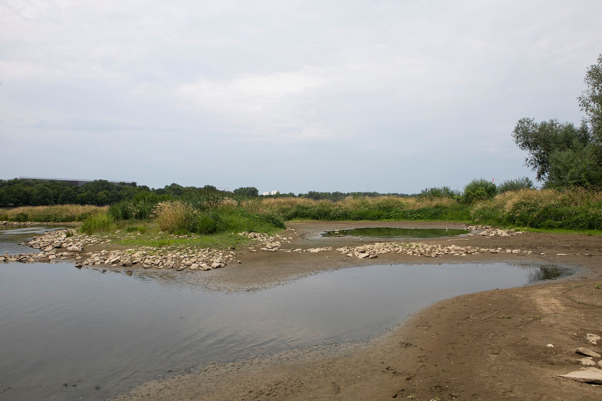 Susza hydrologiczna postępuje. Wisła odsłoniła swoje dno po raz kolejny 3