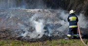 Strażacy podsumowali tydzień w powiecie szczecineckim. Interweniowali 16 razy