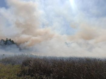 Wołomin: Pożar lasu w rezerwacie przyrody "Grabicz"