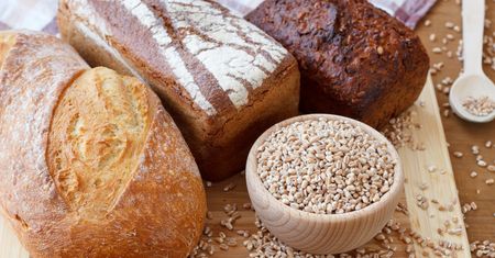 Orkisz, samopsza czy durum? Czym się różnią od siebie odmiany pszenicy?