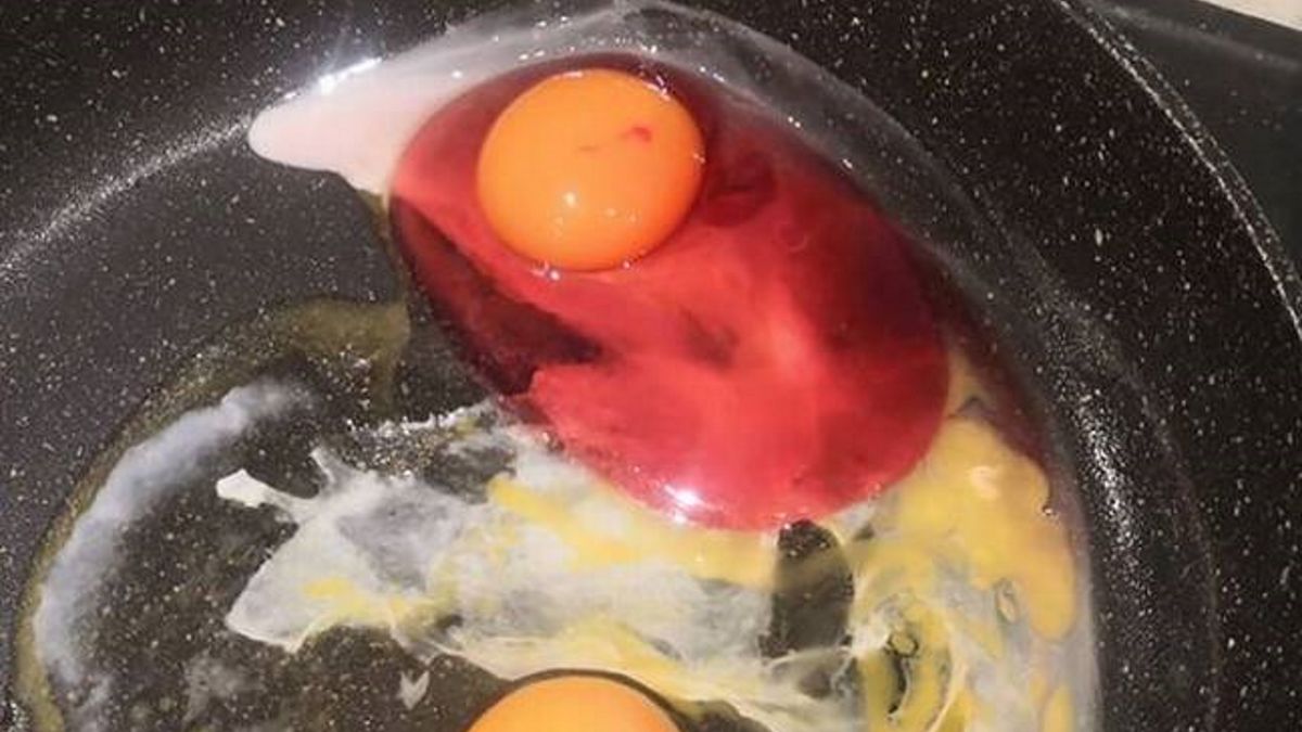 Jajko wyglądało zupełnie inaczej niż zwykle