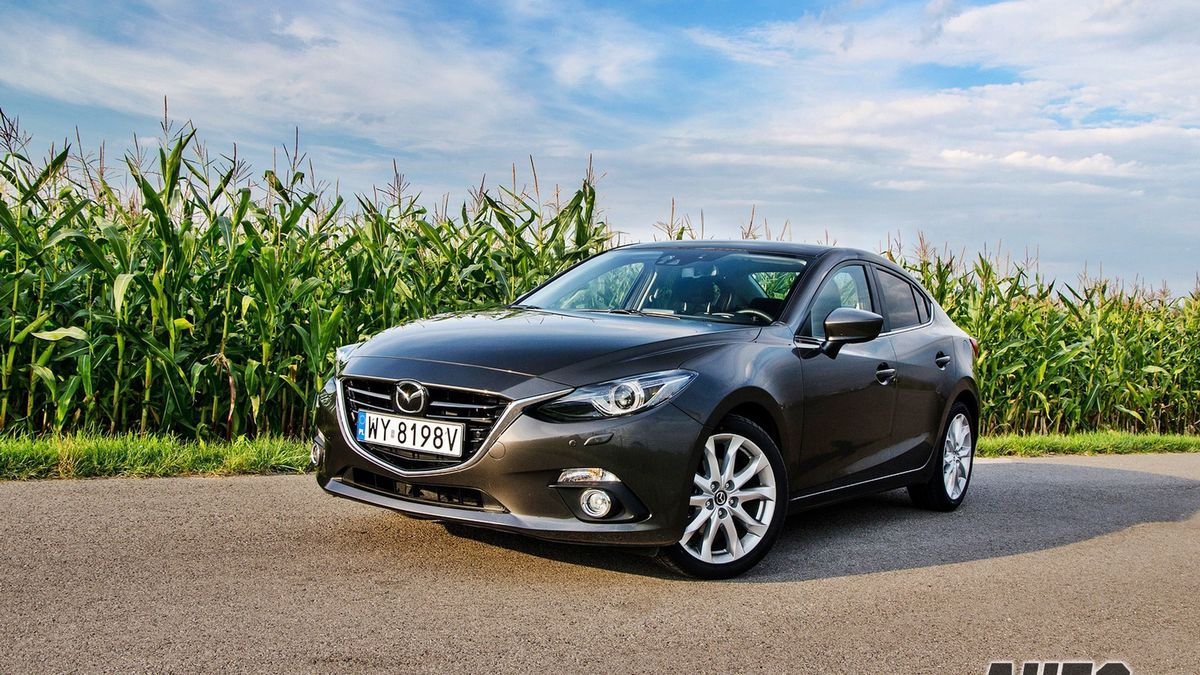 Zdjęcie ilustracyjne do artykułu