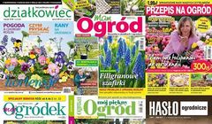 „Działkowiec” liderem sprzedaży. „Przepis na Ogród” najbardziej w dół