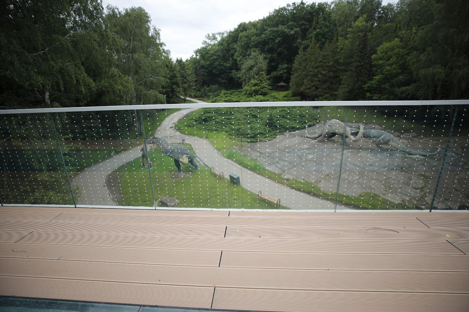 Nowa atrakcja w Śląskim ZOO