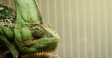 Dach jak kameleon. Sam zmienia kolor