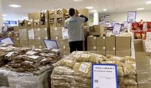 Nowy polski dyskont się rozkręca. Idzie po klientów Dino i Biedronki?