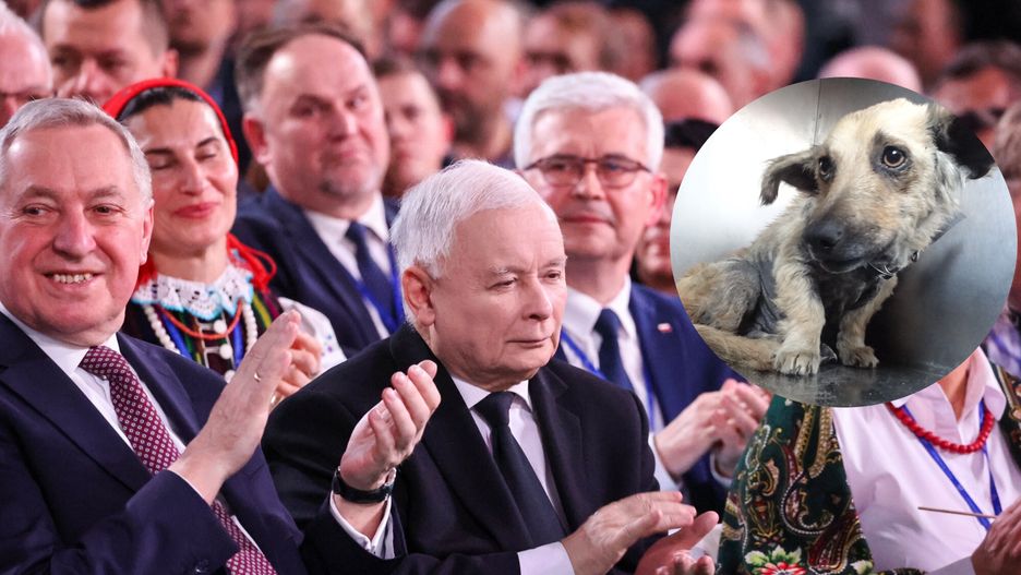 Henryk Kowalczyk zapowiedział zmiany