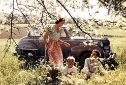 Samochody kochają wiosnę...