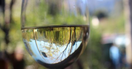 Wino stołowe pinot blanc (białe)