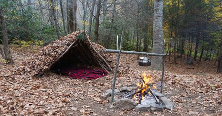Bushcraft dla każdego. Z tymi trzema umiejętnościami przetrwasz w terenie
