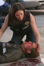 Jorja Fox w serii 'CSI'