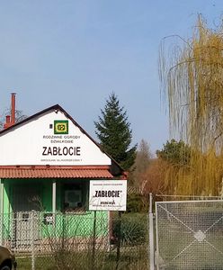 Wrocław. Mieszkańcy oszaleli na punkcie ogródków działkowych. Wielki boom trwa