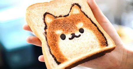 How to Choose Puppy Food?