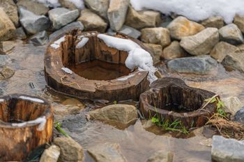 Małopolska: Diabelskie źródła niedaleko Krynicy-Zdroju. Jest nowa "Mofeta Górki" w Tyliczu, w otoczeniu naturalnego bobrowiska