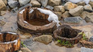 Małopolska: Diabelskie źródła niedaleko Krynicy-Zdroju. Jest nowa "Mofeta Górki" w Tyliczu, w otoczeniu naturalnego bobrowiska