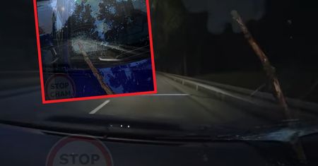 Oszukali przeznaczenie na drodze. Gałąź wbiła się w szybę samochodu