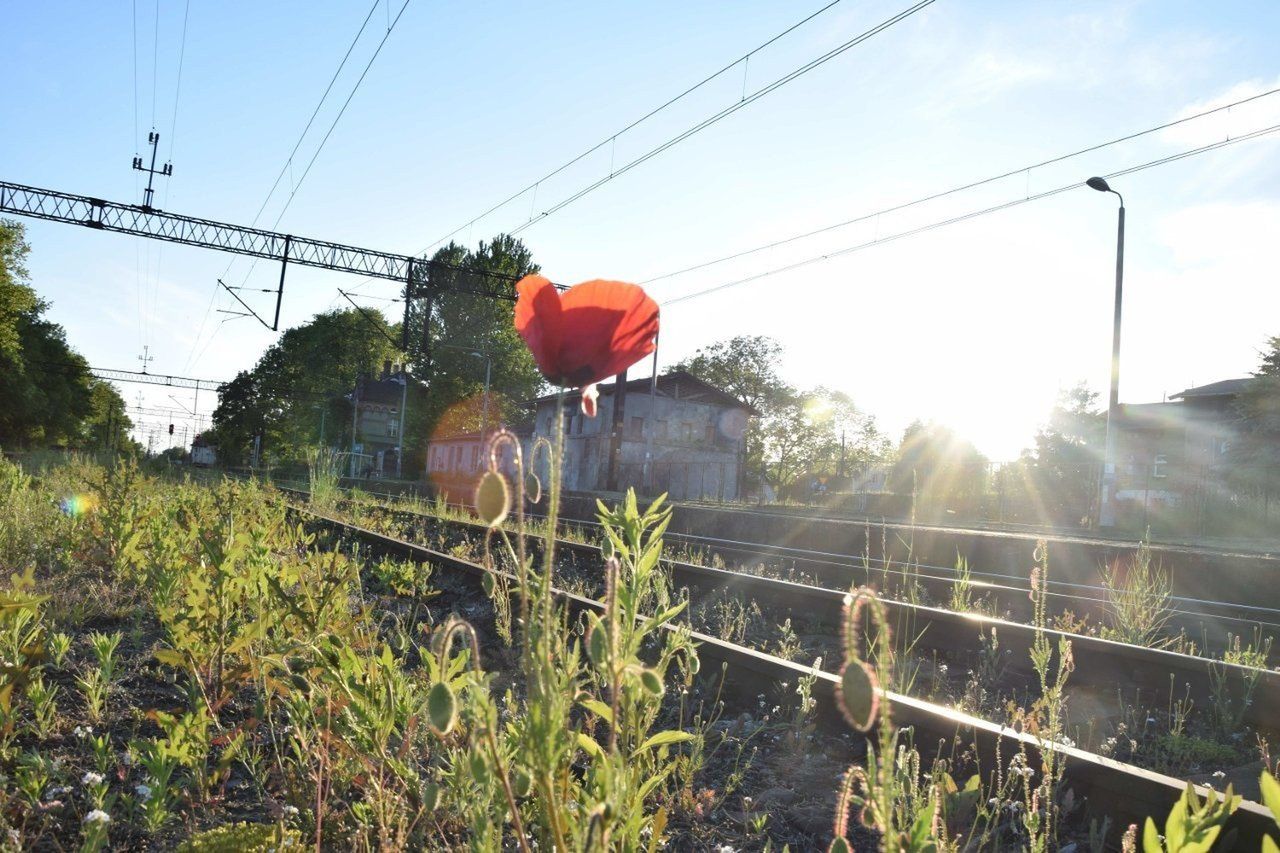 Rozpoczął się remont linii kolejowej Malbork - Elbląg