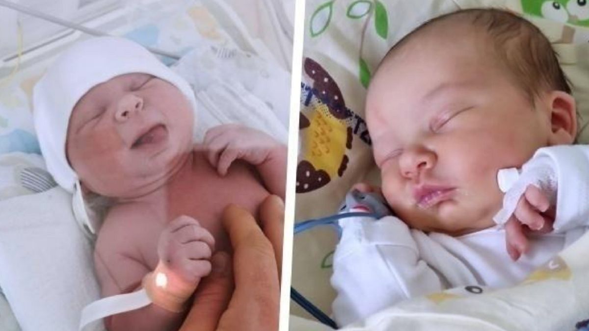 Mała Gaja potrzebuje pilnej pomocy.