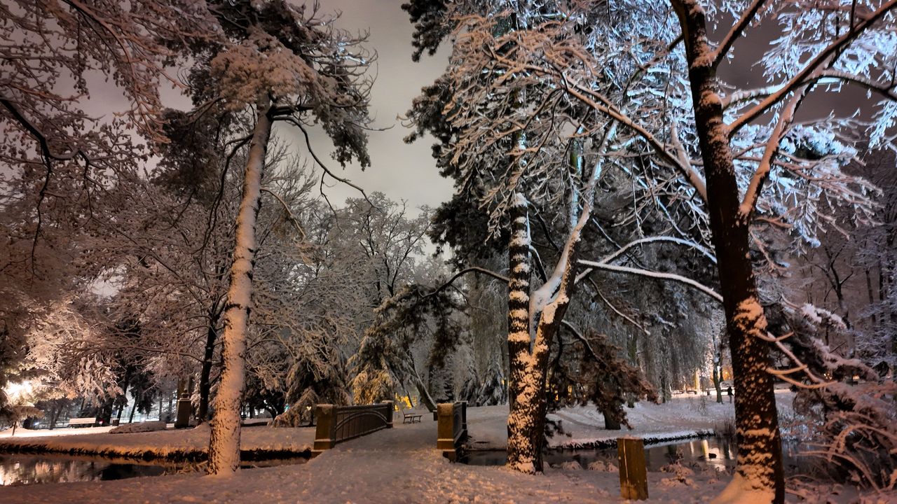 Pierwszy śnieg w Parku Staszica w Częstochowie, 26 listopada 202