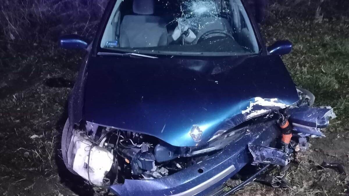 Renault uderzył w drzewo