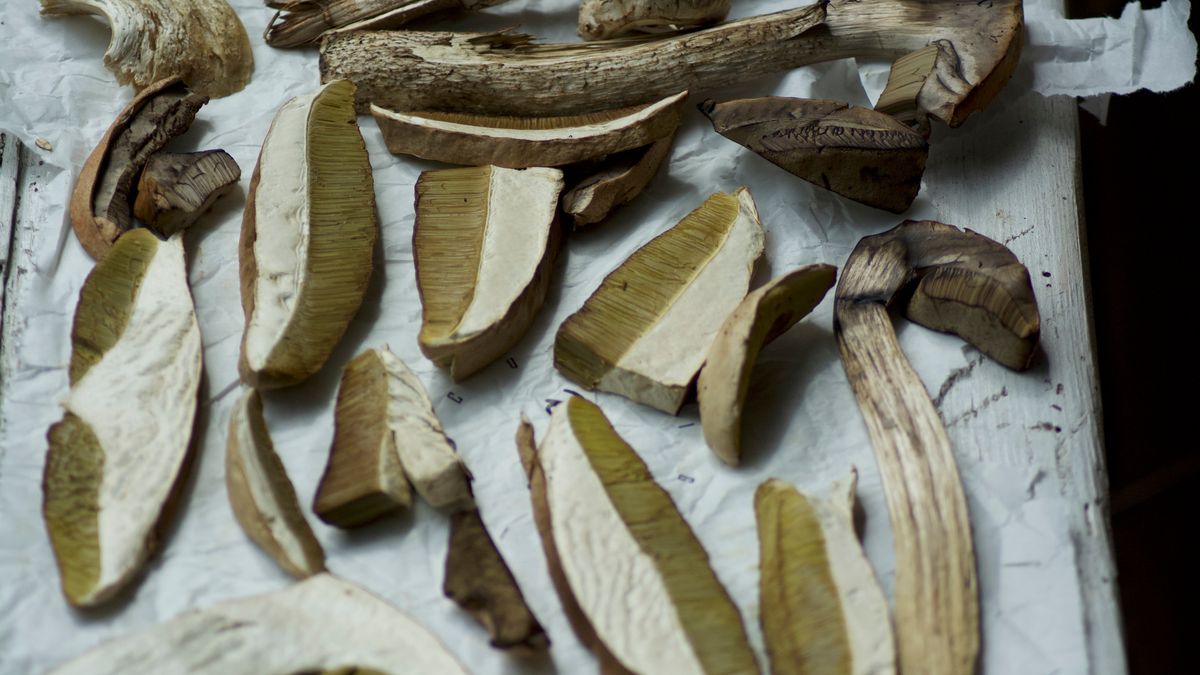 Suszone grzyby na białej ściereczce