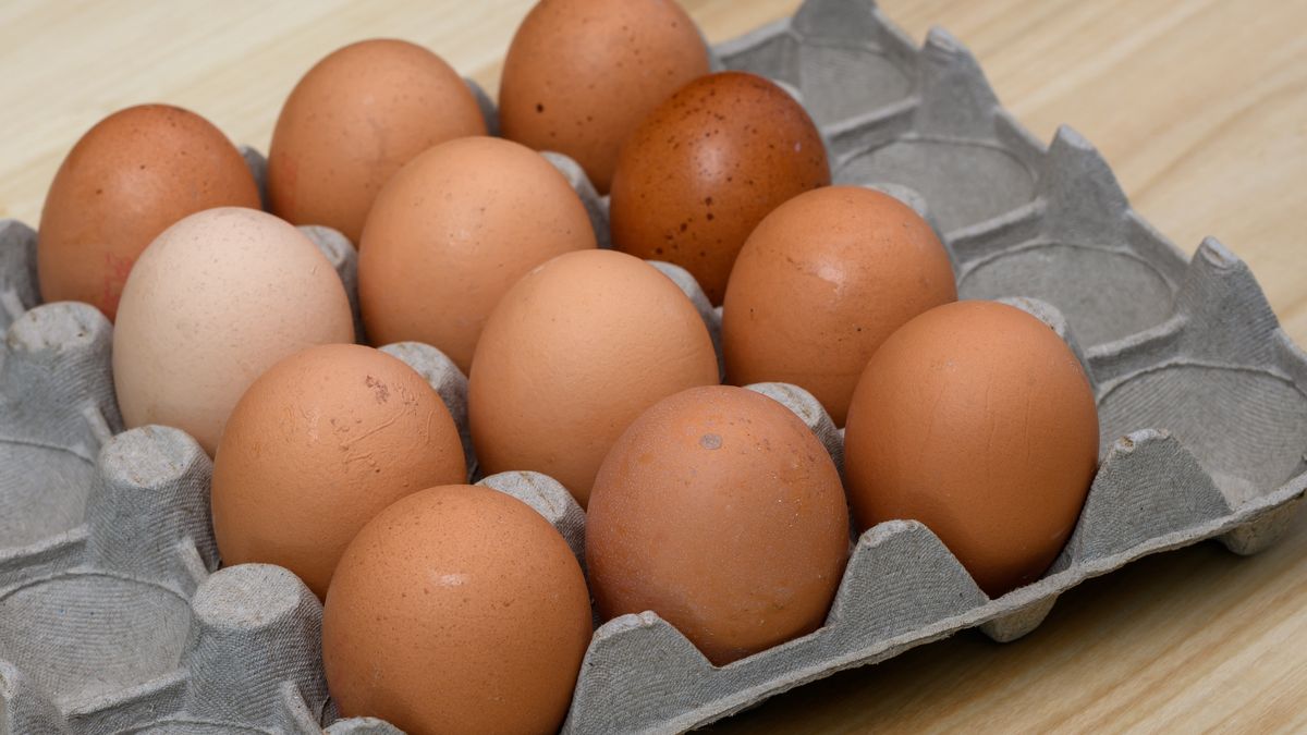 Wyniki kontroli jakości jaj