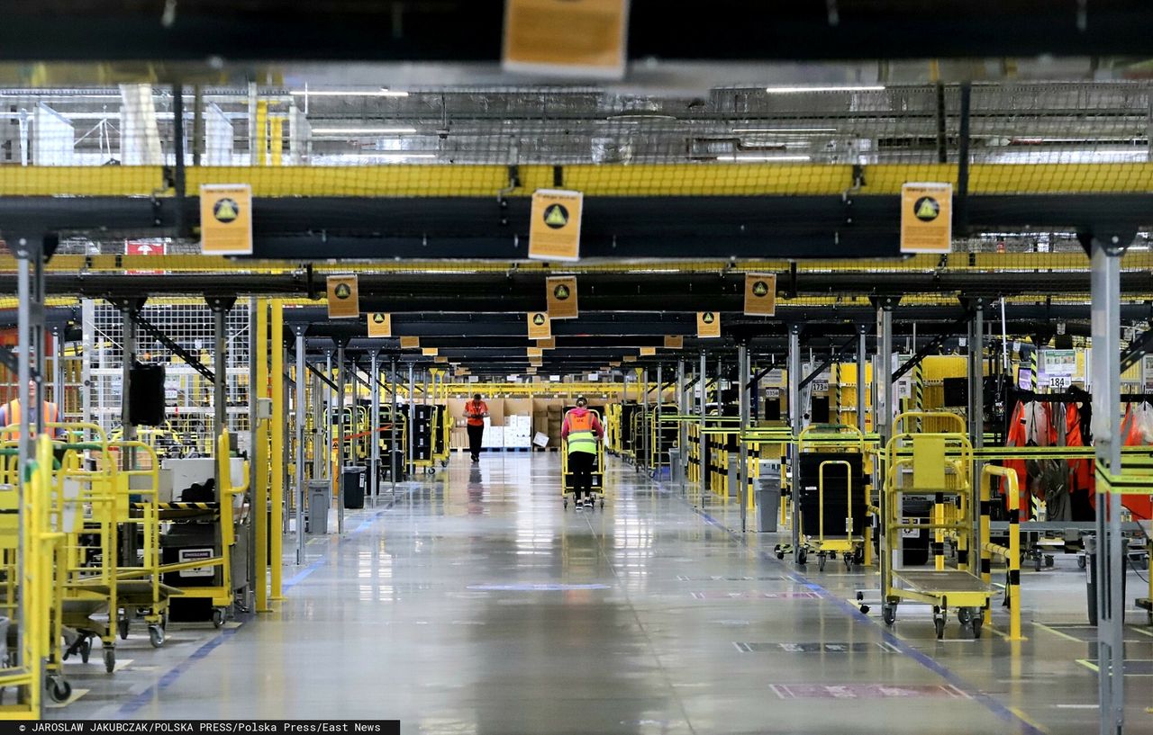 Praca ponad siły w polskim Amazonie? PIP podjęła temat, ale są wątpliwości