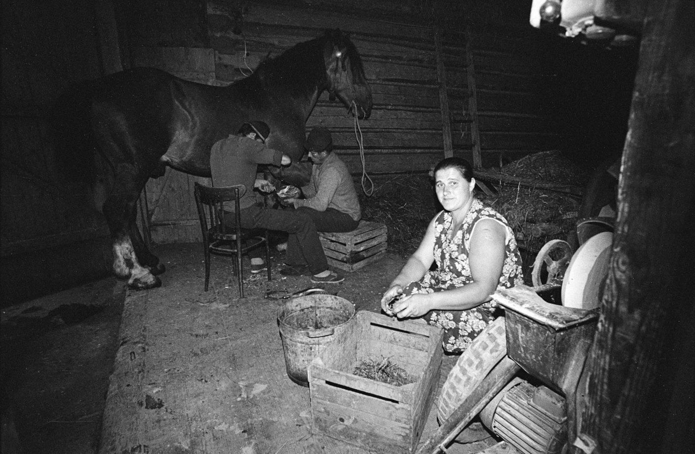 Stara historia o naszej przyszłości - fotografie Zofii Rydet 8
