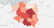 Koronawirus w Polsce. Ponad 7700 zakażeń w ciągu doby [Mapa zakażeń]
