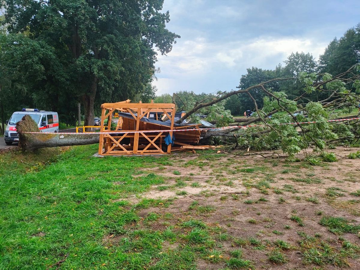 Drzewo spadło na wiatę. Pod nią były trzy osoby